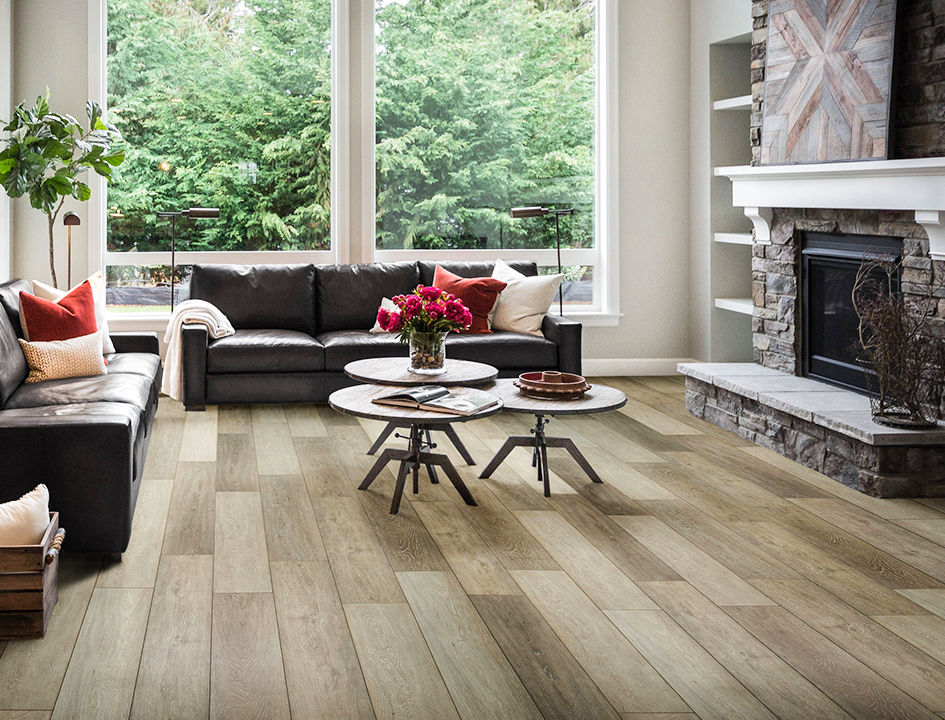 Hướng dẫn sử dụng