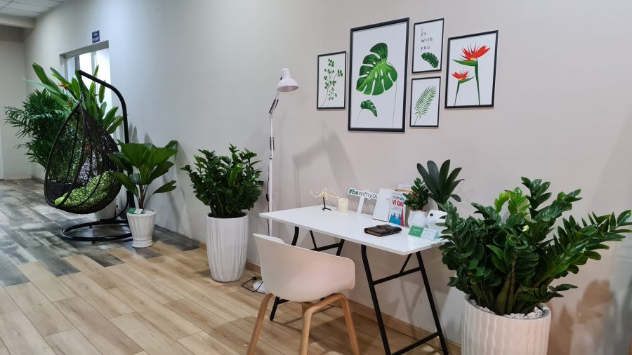 TẬP ĐOÀN KIM TÍN RA MẮT SẢN PHẨM VÁN SÀN TIMBEE VÀ GREENWOOD